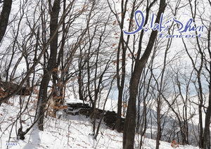 いだきしんコンサート　2026/1/6　三鷹市公会堂　光のホール